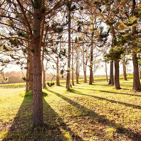Ruse Estate Retreat Margaret River Rosa Glen Esterno foto