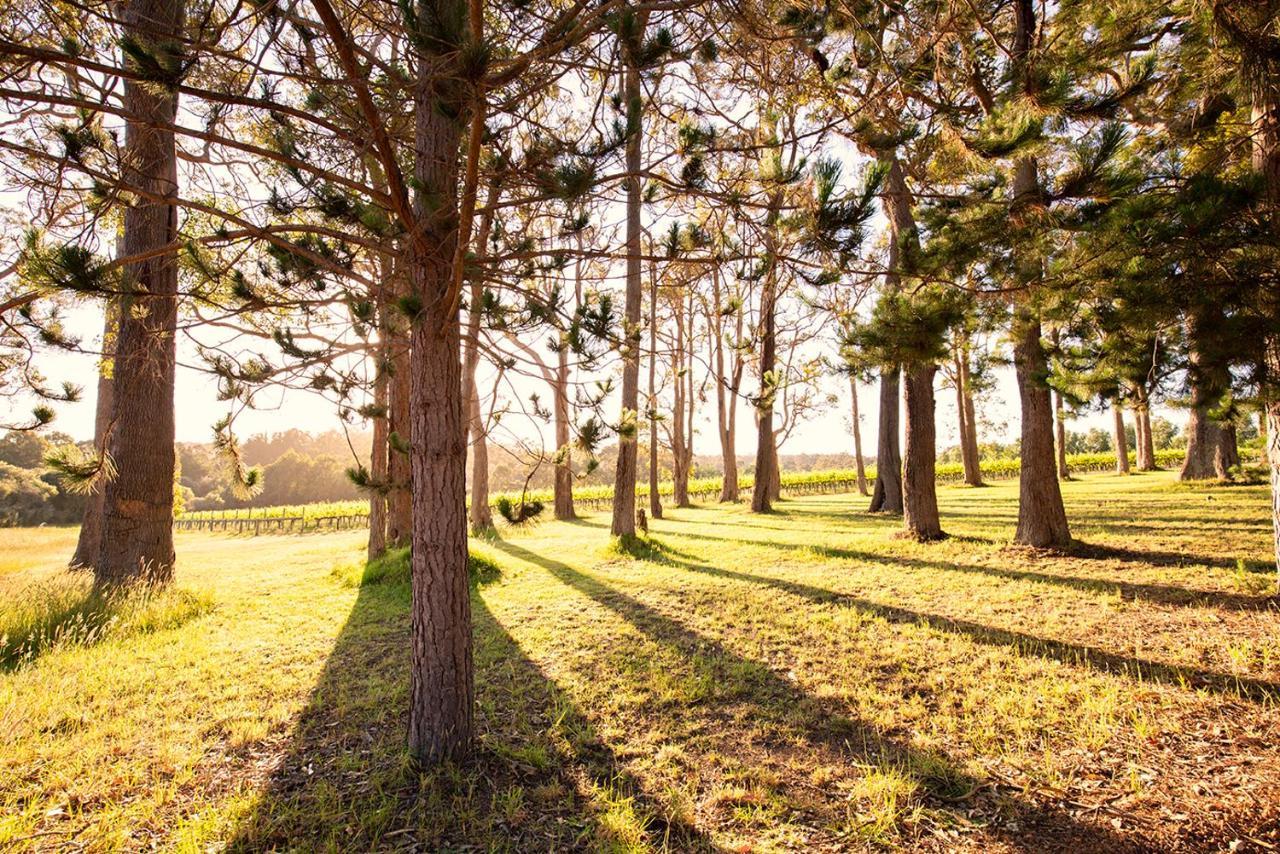 Ruse Estate Retreat Margaret River Rosa Glen Esterno foto