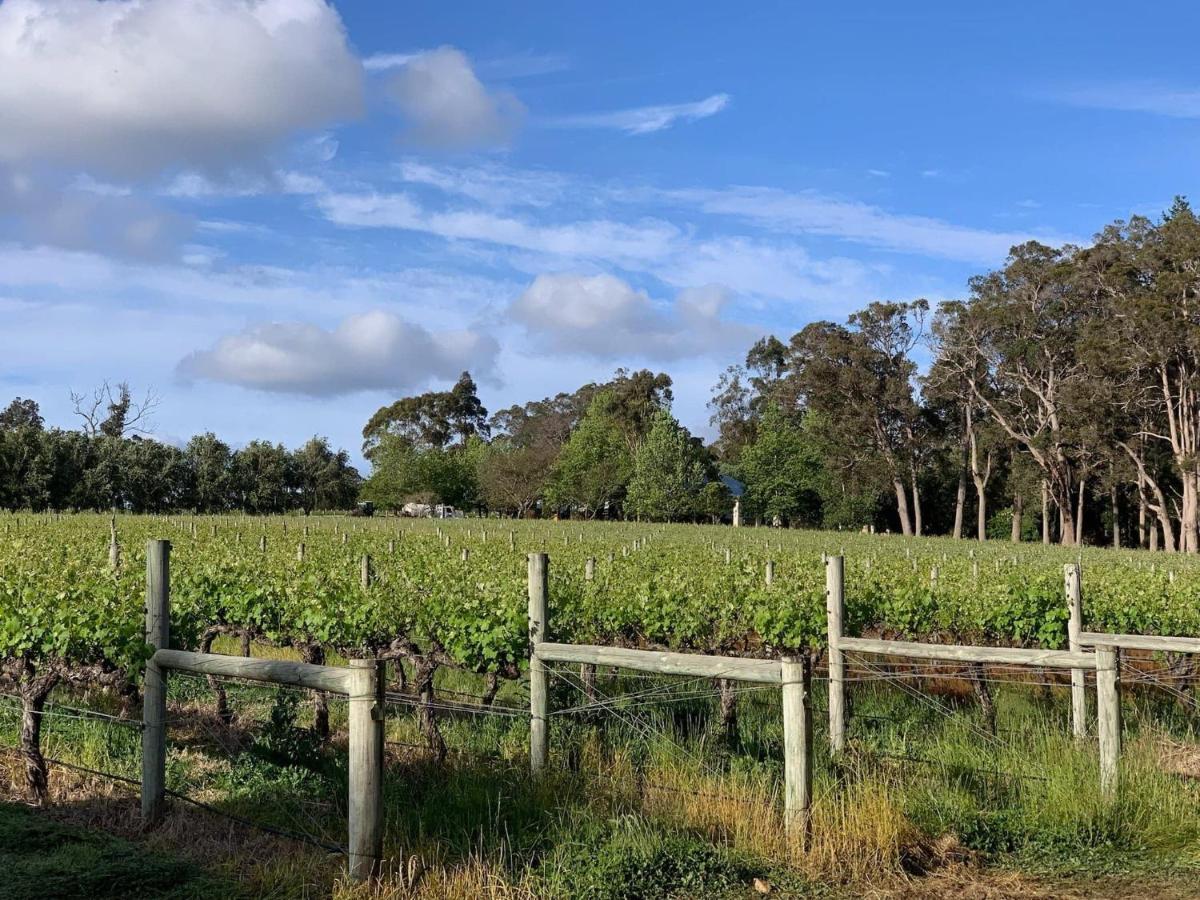 Ruse Estate Retreat Margaret River Rosa Glen Esterno foto